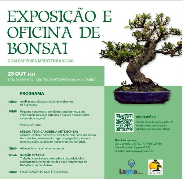 Exposição e Oficina de Bonsai 